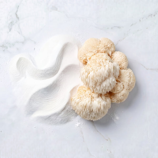 Lion's Mane