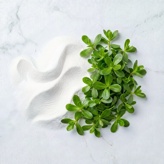 Bacopa