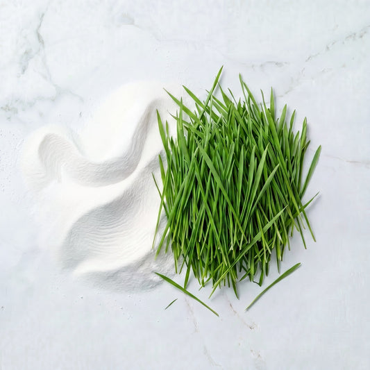 Barley Grass