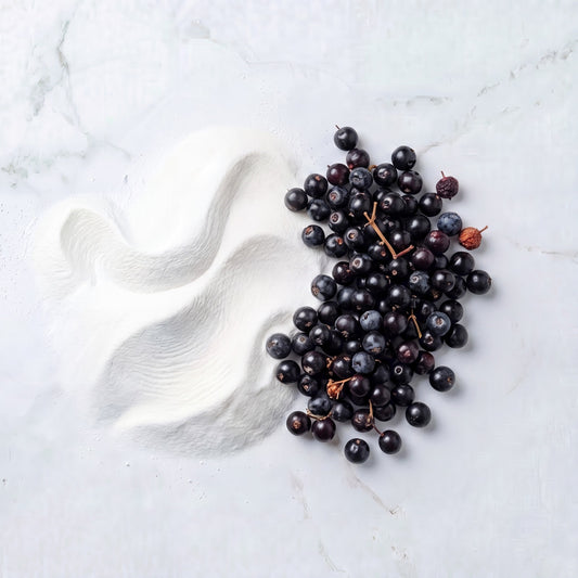 Black Elderberry