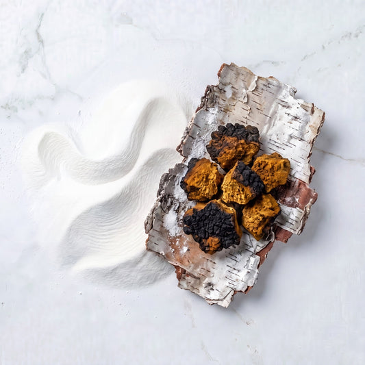 Chaga