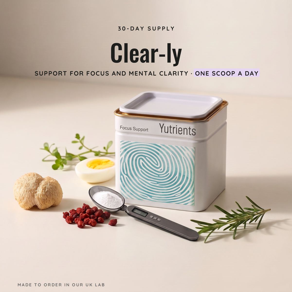 v2 Focus Support — 30-day supply, one scoop a day