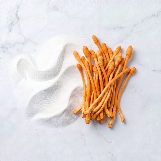 Cordyceps