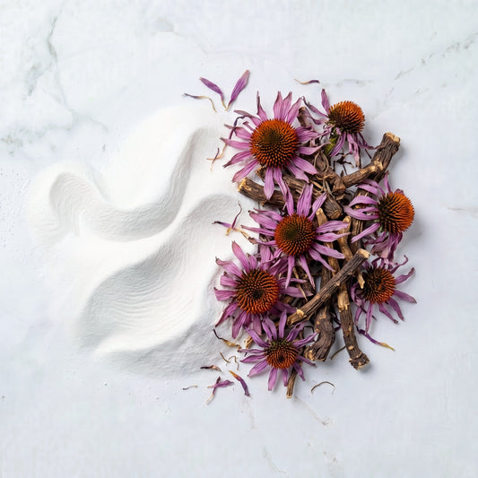 Echinacea