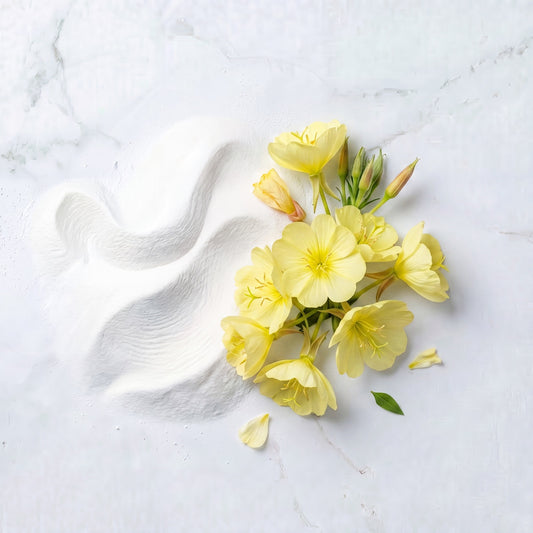Evening Primrose