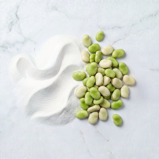 Faba Bean Protein