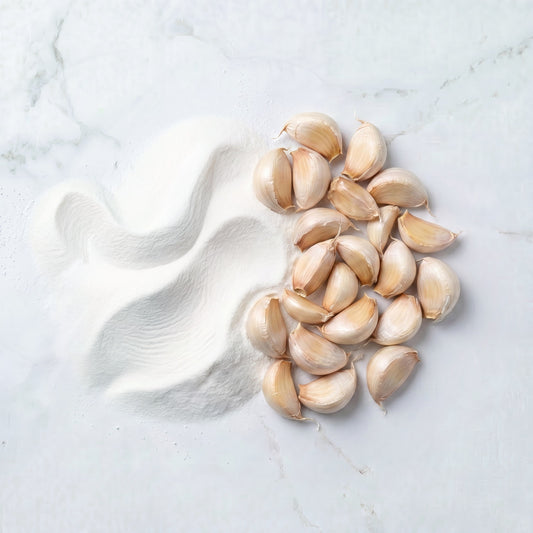 Garlic