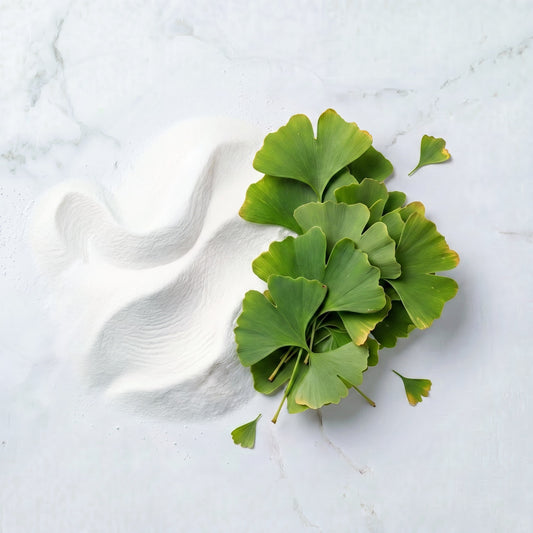 Ginkgo Biloba