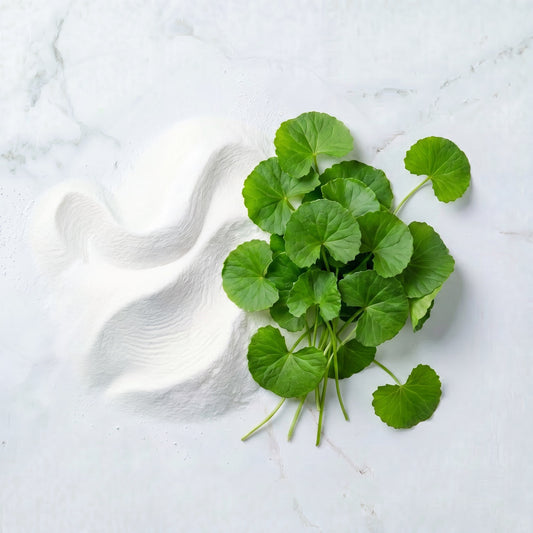 Gotu Kola