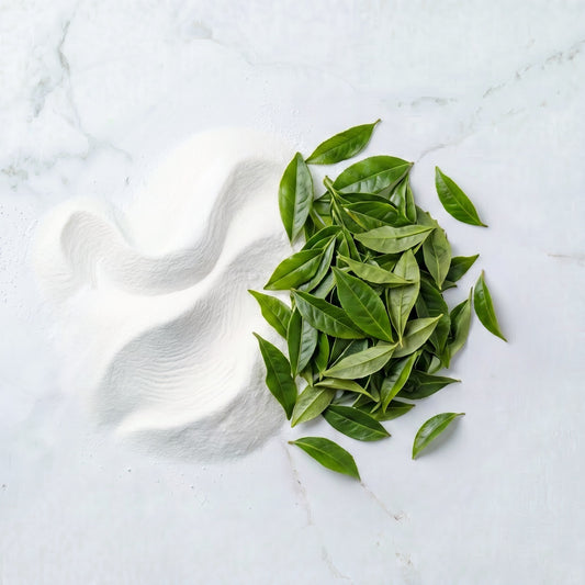 Green Tea Extract