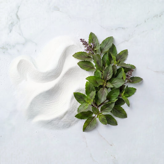 Holy Basil (Tulsi)