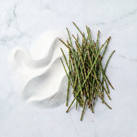 Horsetail