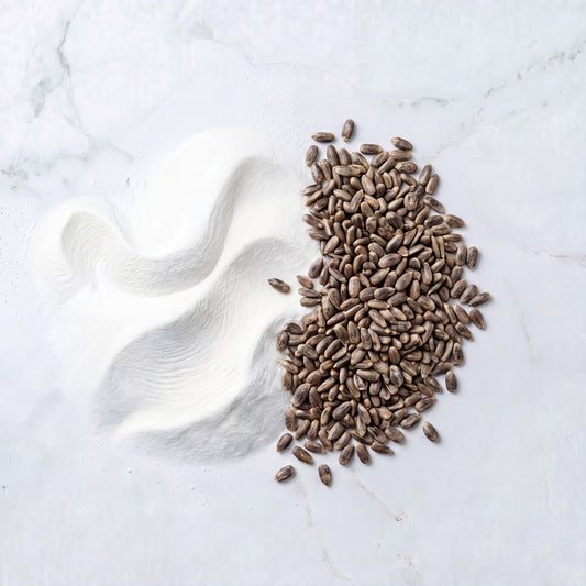 Milk Thistle