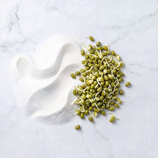 Mung Bean Sprouted
