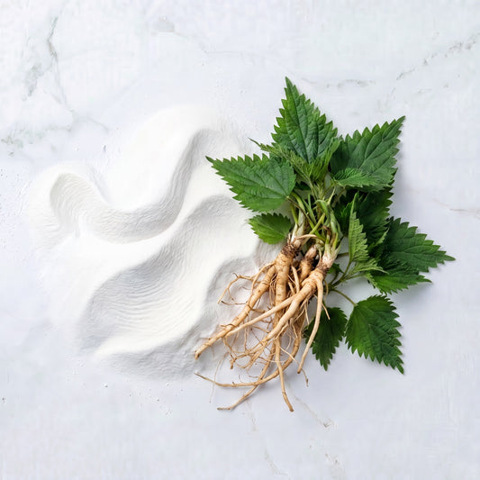 Nettle Root