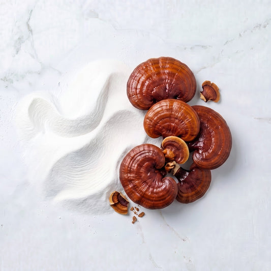 Reishi