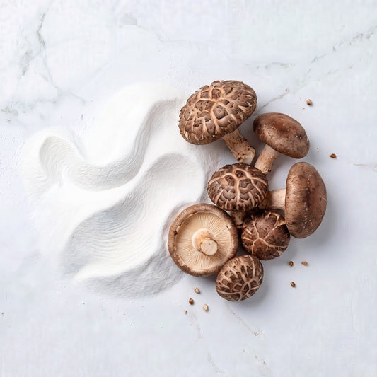 Shiitake