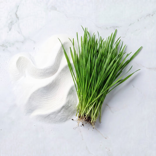 Wheatgrass